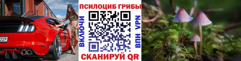 Псилоцибиновые грибы GOLDEN TEACHER  Глазов 